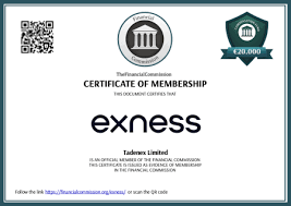 Comprehensive Guide to Exness Trading Platform 2